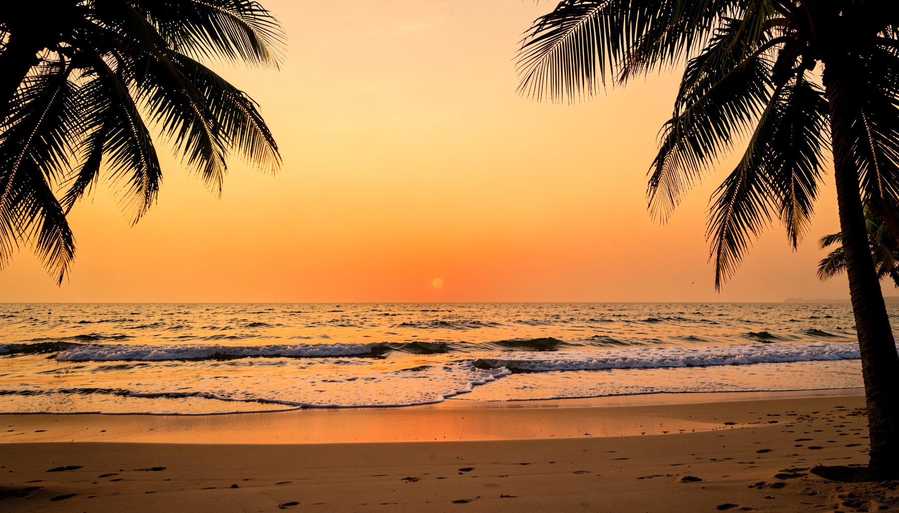A warm golden-hour beach scene with gentle waves lapping against pale sand, framed by silhouetted palm fronds and a hazy amber sky